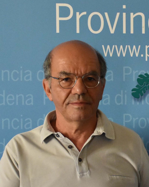 Mauro Fantini