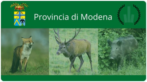 Provincia di Modena - Gestione Interventi Caccia di Selezione e Piani di controllo Faunistico