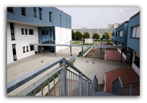 Istituto Professionale Statale Socio-Commerciale Artigianale Cattaneo/Deledda