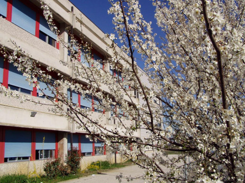 Liceo Scientifico Statale Morando Morandi